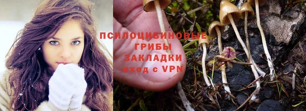 мет Нея