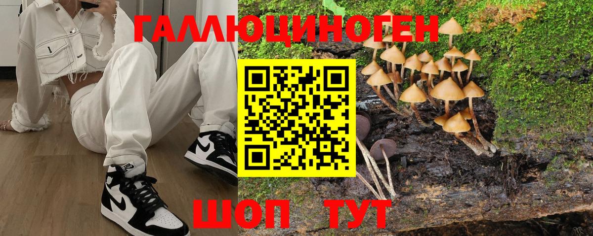 Галлюциногенные грибы Magic Shrooms Прокопьевск
