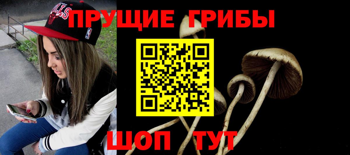Галлюциногенные грибы MAGIC MUSHROOMS  Вход с VPN  Прокопьевск  Псилоцибиновые грибы Psilocybine cubensis 